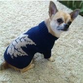 Материалы для вязаного свитера для собаки