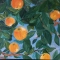 Купить Апельсиновый сад, Элементы интерьера, Для дома и интерьера ручной работы. Мастер Юлия Мамлеева (JulieM) . 