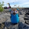 Купить Талисман Go Gopher пилот 16см, Компьютерные, Сувениры и подарки ручной работы. Мастер Gopher Store (Evgenia) .