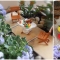 Купить Миниатюрный сад mini garden, Живые цветы, Интерьерные композиции, Цветы и флористика ручной работы. Мастер  Идеи и Дизайн (idei-design) . 
