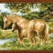 Купить Лошадь с жеребенком, Животные, Картины и панно ручной работы. Мастер Анна Серая (AnnaGray79) . канва аида-16
