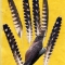 Купить Перья птицы Кукушка, Перья, Другие виды рукоделия ручной работы. Мастер Птица Летящая (Ptica) . природные материалы