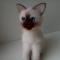 Купить Сиамский котёнок, Коты, Зверята, Куклы и игрушки ручной работы. Мастер Наталья Ветрова (NataliToys) . валяние сухое