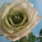 Купить Букет из роз, Полимерная глина, Цветы, Цветы и флористика ручной работы. Мастер Эмилия Мемили (Memili) . 