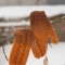 Варежки вязаные с косами коричневые оттенки кофейного осень шоколад
