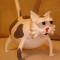Скульптура "Кот"