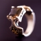 Мужской перстень "Королевская Власть"