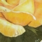 Купить Жёлтые розы, Картины цветов, Картины и панно ручной работы. Мастер  Арутюнян (harben) . художник