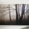 Купить Интерьерное панно, Фотокартины, Картины и панно ручной работы. Мастер MONARCH GALLERY (LAUDARTE) .