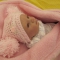 Купить Шапочка для новорожденной Принцессы, Шапочки, Для новорожденных, Работы для детей ручной работы. Мастер Юлиана Илотовская (Ilotoshka) . розовый