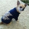 Купить Вязанный свитер для собаки, Одежда для собак, Для домашних животных ручной работы. Мастер Наталья Мартынова (NataMart2003) . 
