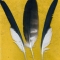Купить Перья для рукоделия - 10, Перья, Другие виды рукоделия ручной работы. Мастер Птица Летящая (Ptica) . 