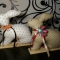 Купить Пасхальные кролики, Куклы Тильды, Куклы и игрушки ручной работы. Мастер Юлия Никулина (Uli-Li) . кукла тильда