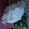 Купить Роза бархатная, Цветы для оформления, Цветы, Свадебный салон ручной работы. Мастер Светлана Хрущёва (SvetaKN78) . оформление свадьбы