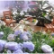 Купить Миниатюрный сад mini garden, Живые цветы, Интерьерные композиции, Цветы и флористика ручной работы. Мастер  Идеи и Дизайн (idei-design) . 