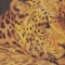 Купить Вышитая картина Леопард, Животные, Картины и панно ручной работы. Мастер Ольга Ильина (esyi) . эксклюзивный подарок