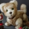 Купить Щенок тедди, Собаки, Зверята, Куклы и игрушки ручной работы. Мастер Toys Tep (Teptoys) . щенок