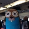 Купить Талисман Go Gopher пилот 16см, Компьютерные, Сувениры и подарки ручной работы. Мастер Gopher Store (Evgenia) .