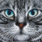Купить Картины Кошка вышитые бисером, Животные, Картины и панно ручной работы. Мастер Елена Моночкова (Cat-fold) . кошка
